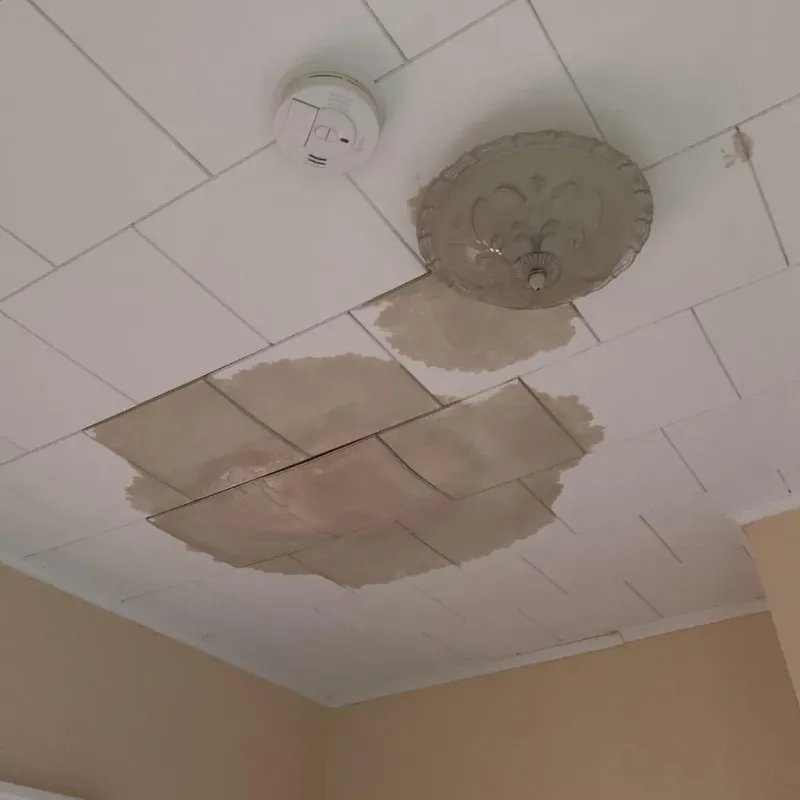 Ceiling Water Damage Repair in Oxford, OH