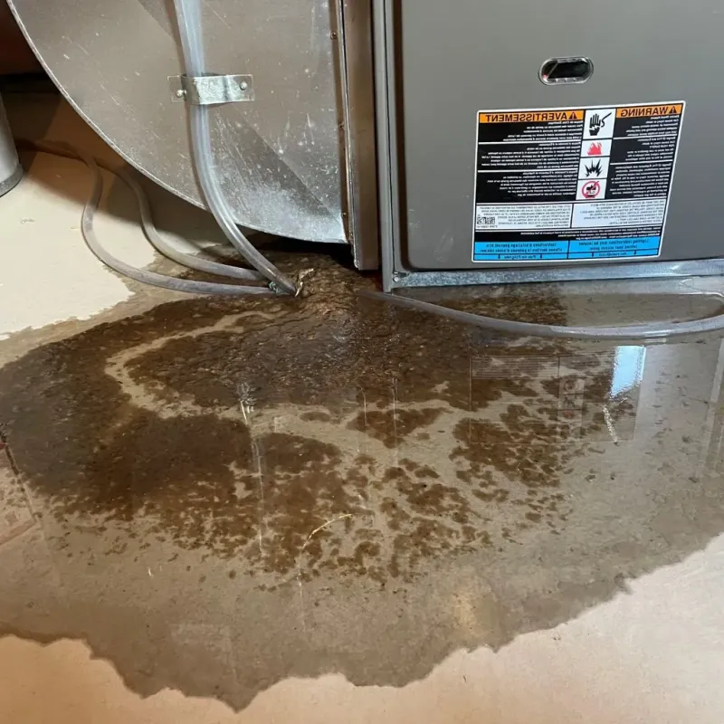 Pipe Burst and Leak Restoration in Oxford, OH