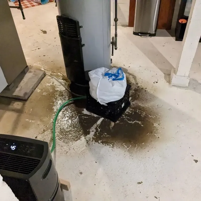 Sewage Backup Cleanup Service in Oxford, OH